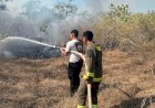 Ditsamapta-Polda-NTT-Bergerak-Cepat-Padamkan-Kebakaran-Hutan-di-Kupang-Barat