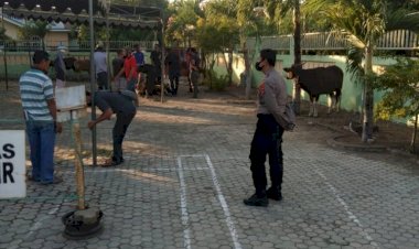 Memastikan-Penerapan-Protokol-Kesehatan,-Polres-Sikka-Lakukan-Pengamanan-Penyembelihan-Hewan-Kurban-Di-Seluruh-Masjid-Di-Kabupaten-Sikka
