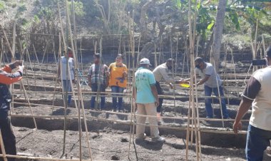 Kapolsek-Lela-Hadiri-Kegiatan-Penanaman-Benih-Tomat-Pada-Kelompok-Tani-