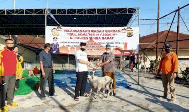 Idul-Adha-Tahun-2020,-Polres-Sumba-Barat-Menyembelih-18-Ekor-Hewan-Qurban-Untuk-Di-Distribusikan-Ke-Masyarakat