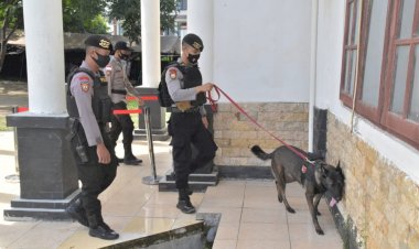 Rekapitulasi-Penetapan-dan-Perhitungan-Suara,-Anjing-Pelacak-K9-dilibatkan-Sterilkan-Kantor-KPUD-Manggarai-Barat