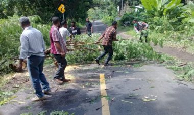 Personil-Polsek-Waigete-Gotong-Royong-Bersama-Warga-Bersihkan-Pohon-Tumbang