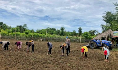 Tingkatkan-Ketahanan-Pangan-di-Masa-Pandemi-Covid-19,-Kapolres-Belu-Bantu-Warga-Buka-Lahan-Pertanian-di-Desa-Silawan
