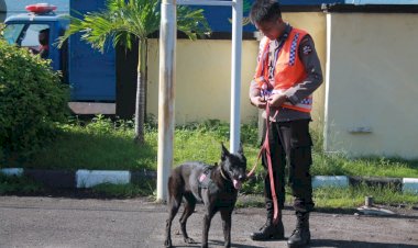 Polri-Turunkan-6-Anjing-Pelacak-Bantu-Cari-Korban-Bencana-di-Lembata-dan-Adonara
