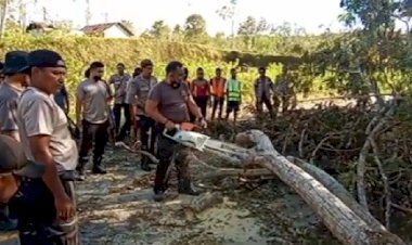 Personil-Polres-Kupang-Kota-Evakuasi-Pohon-Tumbang-Yang-Menutupi-Jalan