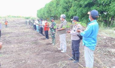 Perkuat-Ekonomi-Masyarakat,-Polres-Sumba-Barat-Daya,-TNI-dan-Pemda-Tanam-100-Anakan-pohon