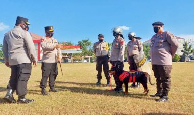 Tingkatkan-Kemapuan-Dalmas-Dalam-Rangka-Pengamanan-PSU-Pilkada-Sabu-Raijua,-Unit-K9-Ditsamapta-Polda-NTT-Pun-Dikerahkan