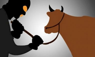 Lima-Pelaku-Curnak-Yang-Meresahkan-Warga-Berhasil-Diamanakan-Jajaran-Polda-NTT