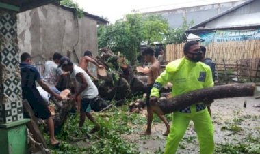 Bentuk-Kepedulian,-Polisi-Gotong-Royong-Bersama-Warga-Bantu-Bersihkan-Pohon-Tumbang-di-Rumah-Warga