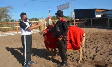 Tinjau-Unit-Satwa-di-Hanggar-Ditpolairud,-Kapolda-NTT-Minta-Selain-Operasional-Jadikan-Tempat-ini-Sebagai-Sarana-Polmas