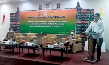 Jadi-Narasumber,-Dirkrimsus-Polda-NTT:-Kami-Dukung-dalam-Penegakan-Hukum-Pelanggaran-Perkarantinaan