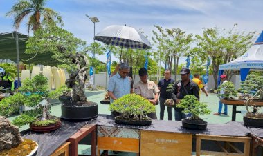 Dukung-Pariwisata,-Kapolda-Hadiri-Festival-dan-Kontes-Bonsai-Pertama-di-NTT