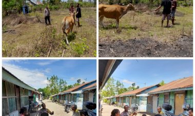 Bhabinkamtibmas-Tubuhue-Serahkan-Sapi-ke-Pemiliknya-yang-Diduga-Dicuri-Orang-Tak-Dikenal