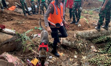 Satu-anjing-pelacak-temukan-titik-diduga-korban-tertimbun-longsor-Cianjur