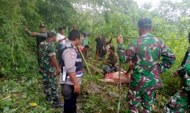 Polsek-Katikuna-Berhasil-Amankan-Puluhan-Ekor-Hewan-Curnak