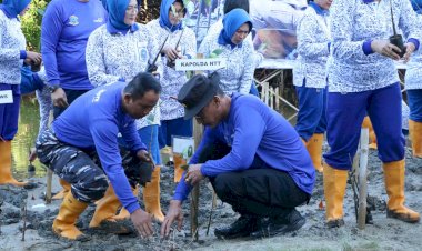 Wakapolda-NTT-Ikut-Penanaman-Mangrove-Serentak-TNI-Polri-di-Tablolong