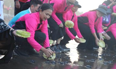 Lestarikan-Ekosistem-Laut,-Bhayangkari-Polri-Lepas-Tukik-di-Pantai-Pangkung-Tibah-Tabanan