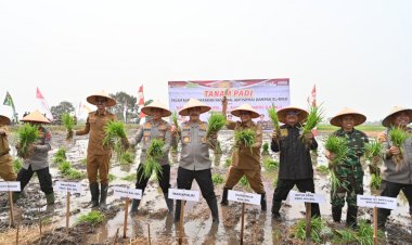 Wakapolri-Panen-dan-Tanam-Padi-di-Desa-Penggalaman-Kalsel-Antisipasi-El-Nino