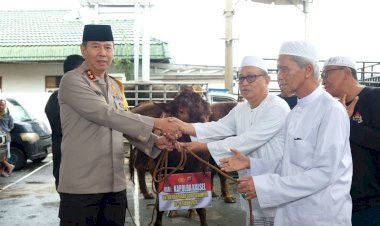Kapolri-dan-Kapolda-Kalsel-Sumbang-Sapi-Limousine-untuk-Peringatan-Haul-Abah-Guru-Sekumpul