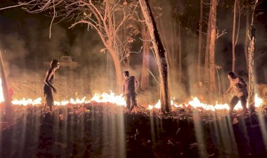 Kebakaran-Hutan-di-Rote-Tengah-Berhasil-Dikendalikan-oleh-Personel-Polsek