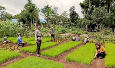 Bripka-Zulkarnain-Yusuf-Ajak-Warga-Desa-Binaan-Dukung-Ketahanan-Pangan