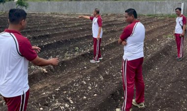 Dukung-Program-Asta-Cita-Presiden,-Polres-Sumba-Timur-Kelola-Lahan-Pertanian