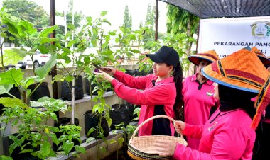 Bhayangkari-NTT-Dukung-Ketahanan-Pangan,-Manfaatkan-Pekarangan-Rumah-Dinas-untuk-Program-P2L