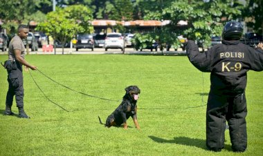 Unit-Satwa-Polda-NTT-Gelar-Latihan-K9,-Perkuat-Kesiapan-Operasional