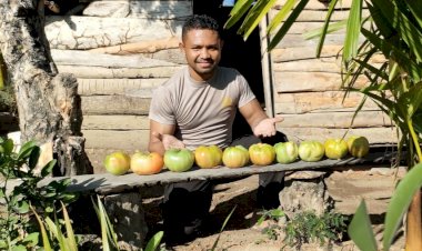 Bripka-Nasrul:-Polisi-yang-Menyelamatkan-Tomat-Raksasa-Langka-dari-Kepunahan