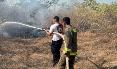 Ditsamapta-Polda-NTT-Bergerak-Cepat-Padamkan-Kebakaran-Hutan-di-Kupang-Barat