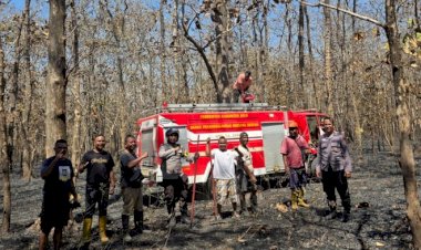 Polres-Belu,-Polda-NTT-Respons-Cepat-Kebakaran-Hutan-Jati-Nenuk
