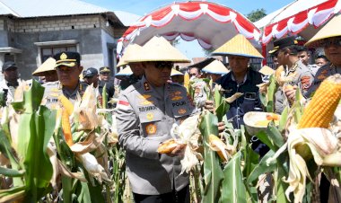 Sukses-Panen-349-Ton-Jagung-di-NTT:-Kapolri-dan-Kapolda-NTT-Tegaskan-Komitmen-Dukung-Penuh-Asta-Cita-Presiden-Prabowo-untuk-Kedaulatan-Pangan