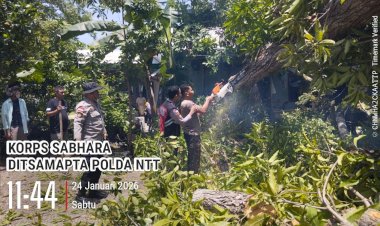 Ditsamapta-Polda-NTT-Sigap-Bantu-Warga-Bakunase,-Rumah-Tertimpa-Pohon-Tumbang-Berhasil-Dievakuasi