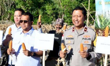 Wakapolda-NTT-Hadiri-Panen-Simbolis-Pilot-Project-Jagung-di-Kabupaten-Kupang,-Perkuat-Sinergitas-Menuju-NTT-Lumbung-Jagung-Nasional