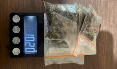 Polres-Flores-Timur-Amankan-Dua-Terduga-Pengedar-Ganja-di-Pelabuhan-Larantuka