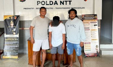 Calo-Tiket-Pelni-di-Kupang-Diamankan,-Polda-NTT-Ungkap-Modus-dan-Imbau-Masyarakat-Waspada