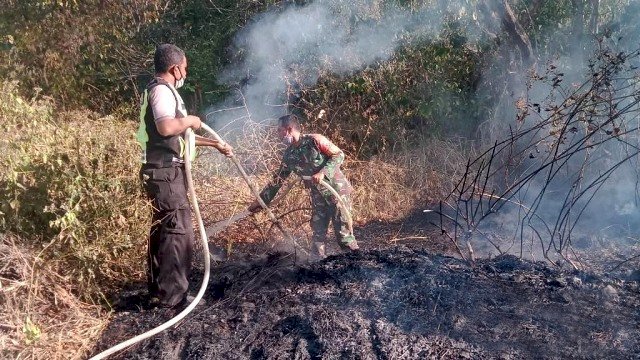 Anggota Polsek Wulanggitang Bersama Babinsa Dan Warga Padamkan Api di Hutan Tutupan