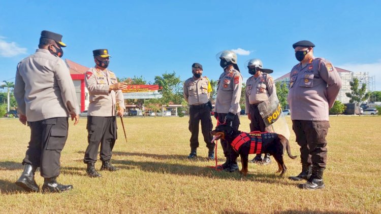 Tingkatkan Kemapuan Dalmas Dalam Rangka Pengamanan PSU Pilkada Sabu Raijua, Unit K9 Ditsamapta Polda NTT Pun Dikerahkan