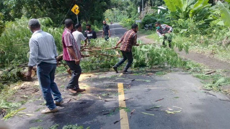 Personil Polsek Waigete bersama warga Gotong Royong Bersihkan Pohon Tumbang