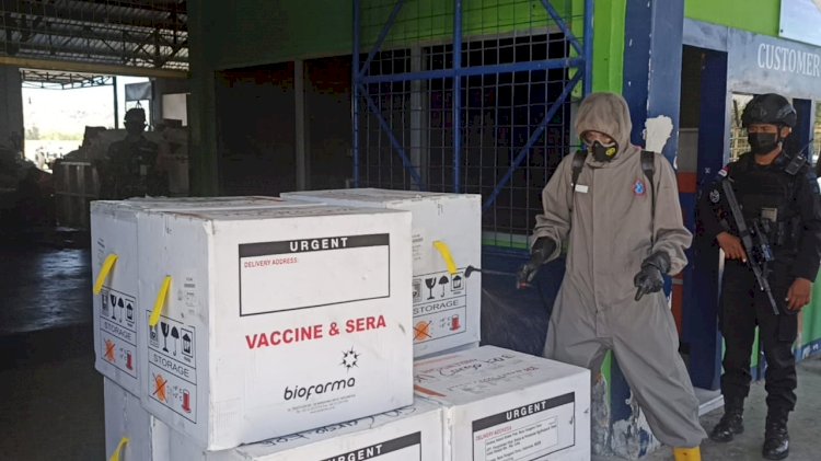 10 Koli Vaksin dan Empat Box Vaksin Pentabio Anak serta Larutan PCR Kit Tiba di Kupang