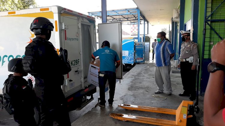 Percepat Program Vaksinasi di NTT, Pagi Ini 500 Vial Vaksin Covid 19 Tiba di Kupang