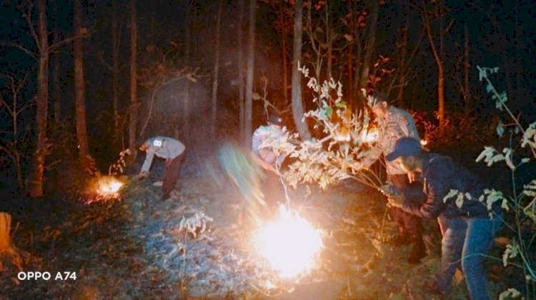 Gunakan Alat Seadanya, Kapolsek Tasifeto Barat dan Anggota Berjibaku Padamkan Kebakaran di Kawasan Hutan Lindung Nenuk
