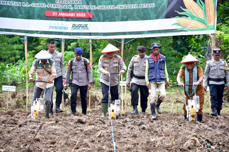 Swasembada Pangan 2025: Kapolda NTT Pimpin Penanaman Jagung Serentak di TTU