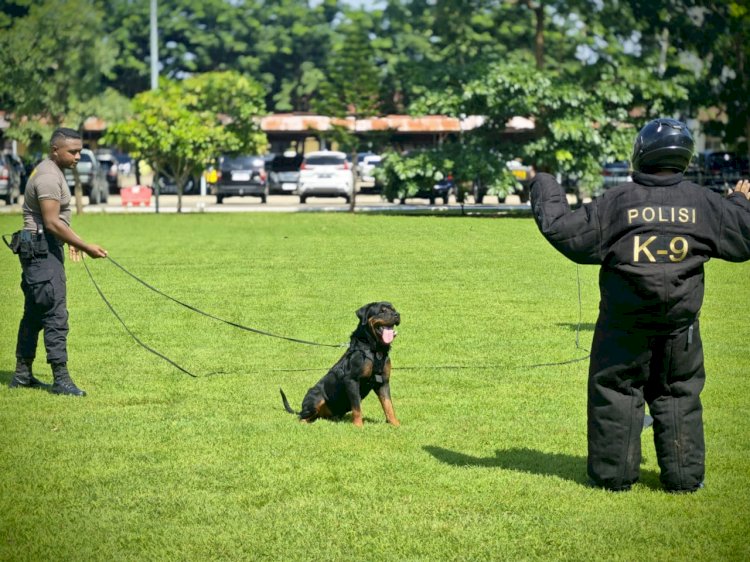 Unit Satwa Polda NTT Gelar Latihan K9, Perkuat Kesiapan Operasional