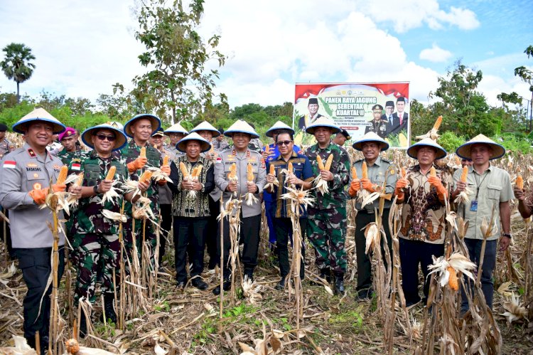 Kapolda NTT Pimpin Panen Raya Jagung Serentak, Dorong NTT Jadi Lumbung Pangan Nasional
