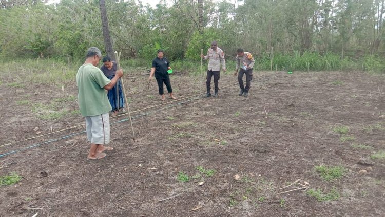 Wujudkan Ketahanan Pangan di Perbatasan, Polsek Laen Manen Tanam Jagung Bersama Warga