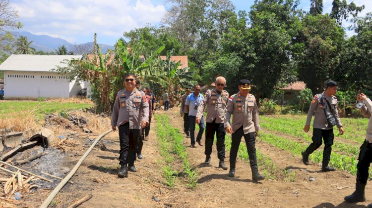 Polda NTT Lanjutkan Asistensi dan Supervisi Ketahanan Pangan serta Koperasi Merah Putih di Kabupaten Sikka