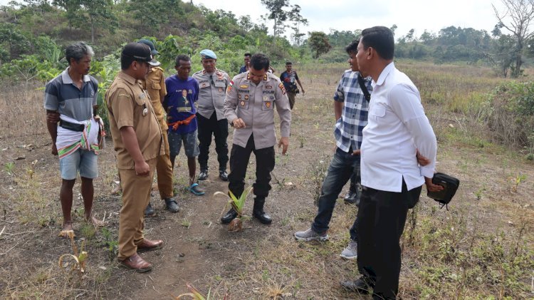Kapolres Sumba Barat Tinjau Lahan Jagung, Wujud Nyata Dukungan Ketahanan Pangan