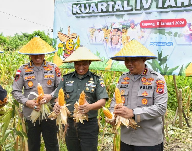 Produksi Jagung Polda NTT Tembus Puluhan Ribu Ton Sepanjang 2025