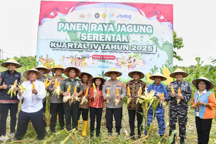 Kapolda NTT Pimpin Panen Raya Jagung Kuartal IV 2025, Perkuat NTT sebagai Lumbung Jagung Nasional